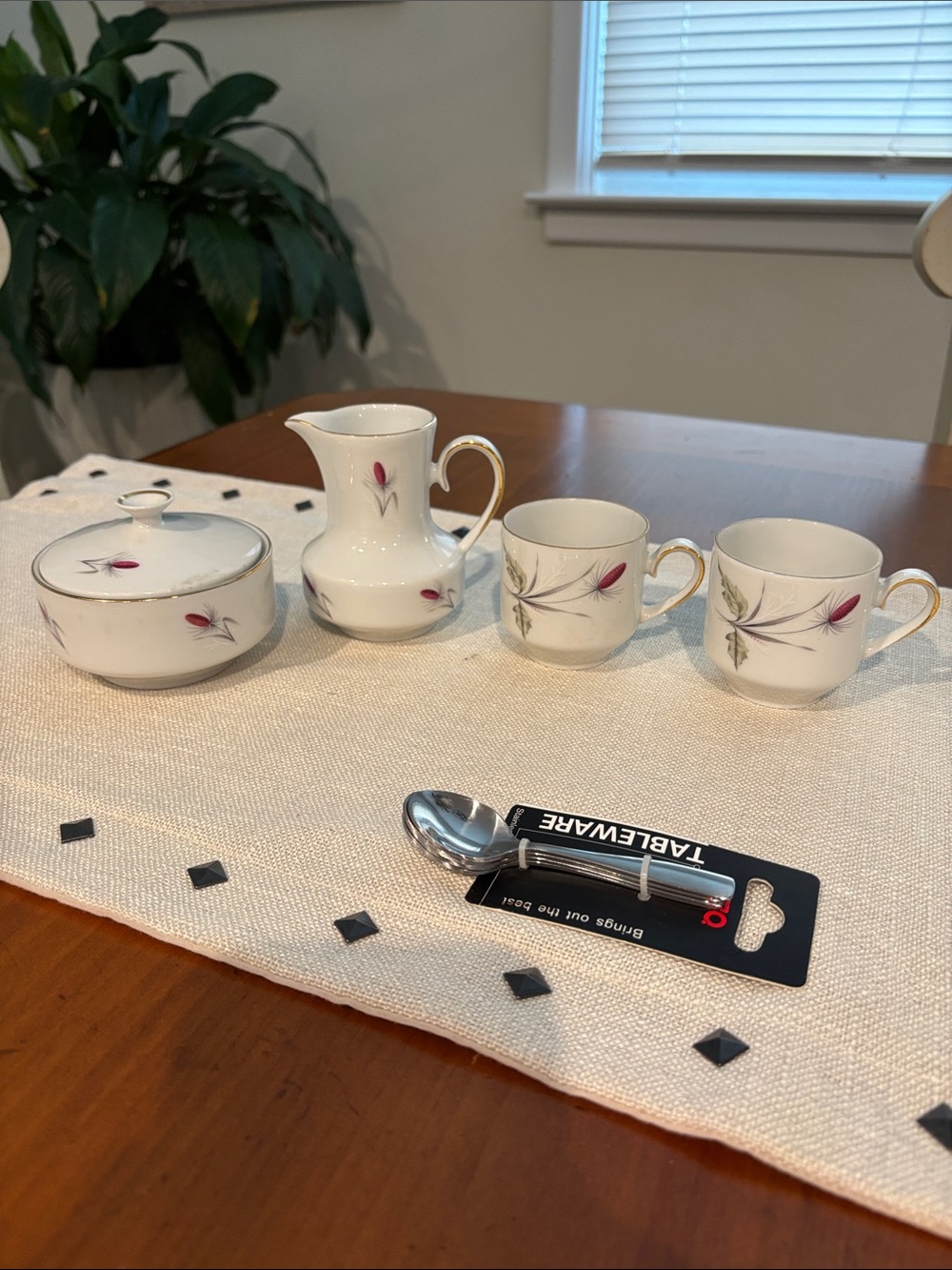 Winterling Marktleuthen Bavarian Porcelain Vintage Coffee Service Set for Two